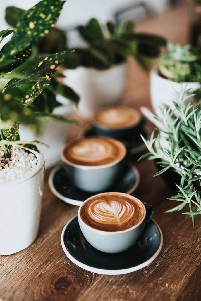 Drei Kaffeetassen zwischen Pflanzentöpfen